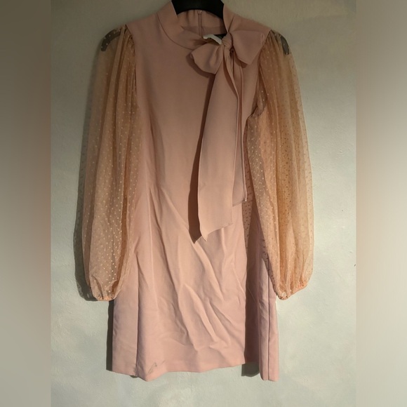 Bow Neck Long Sleeve Shift Dress - Picture 2 of 7